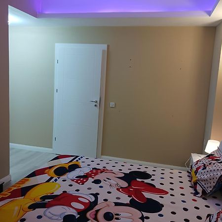 Myky Mouse Nu Primesc Santieristi Si Petrecareti Apartment Bucureşti Ngoại thất bức ảnh