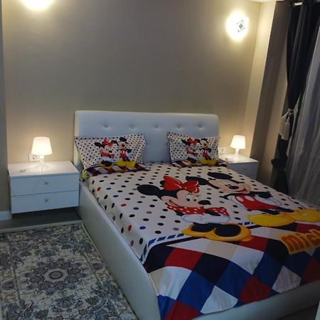 Myky Mouse Nu Primesc Santieristi Si Petrecareti Apartment Bucureşti Ngoại thất bức ảnh