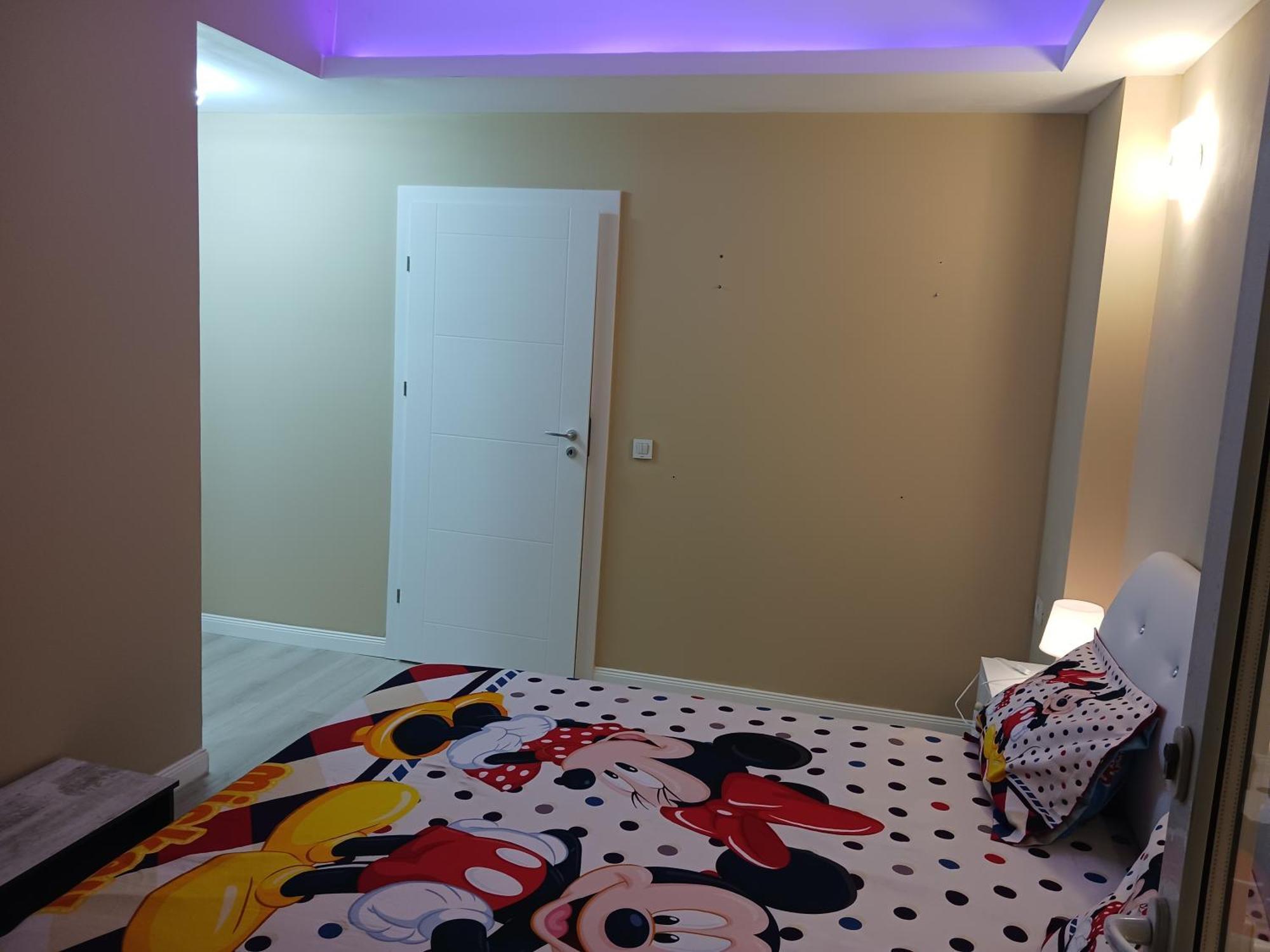 Myky Mouse Nu Primesc Santieristi Si Petrecareti Apartment Bucureşti Ngoại thất bức ảnh