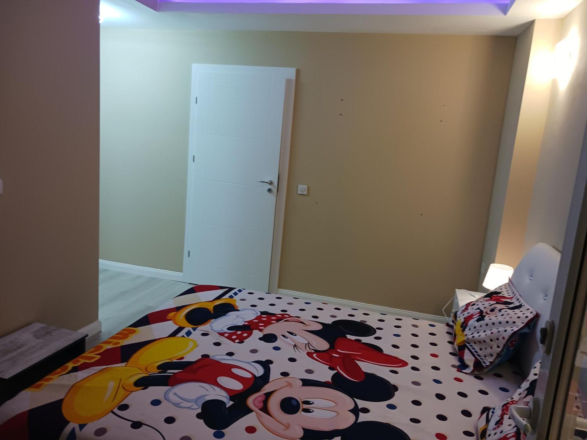 Myky Mouse Nu Primesc Santieristi Si Petrecareti Apartment Bucureşti Ngoại thất bức ảnh