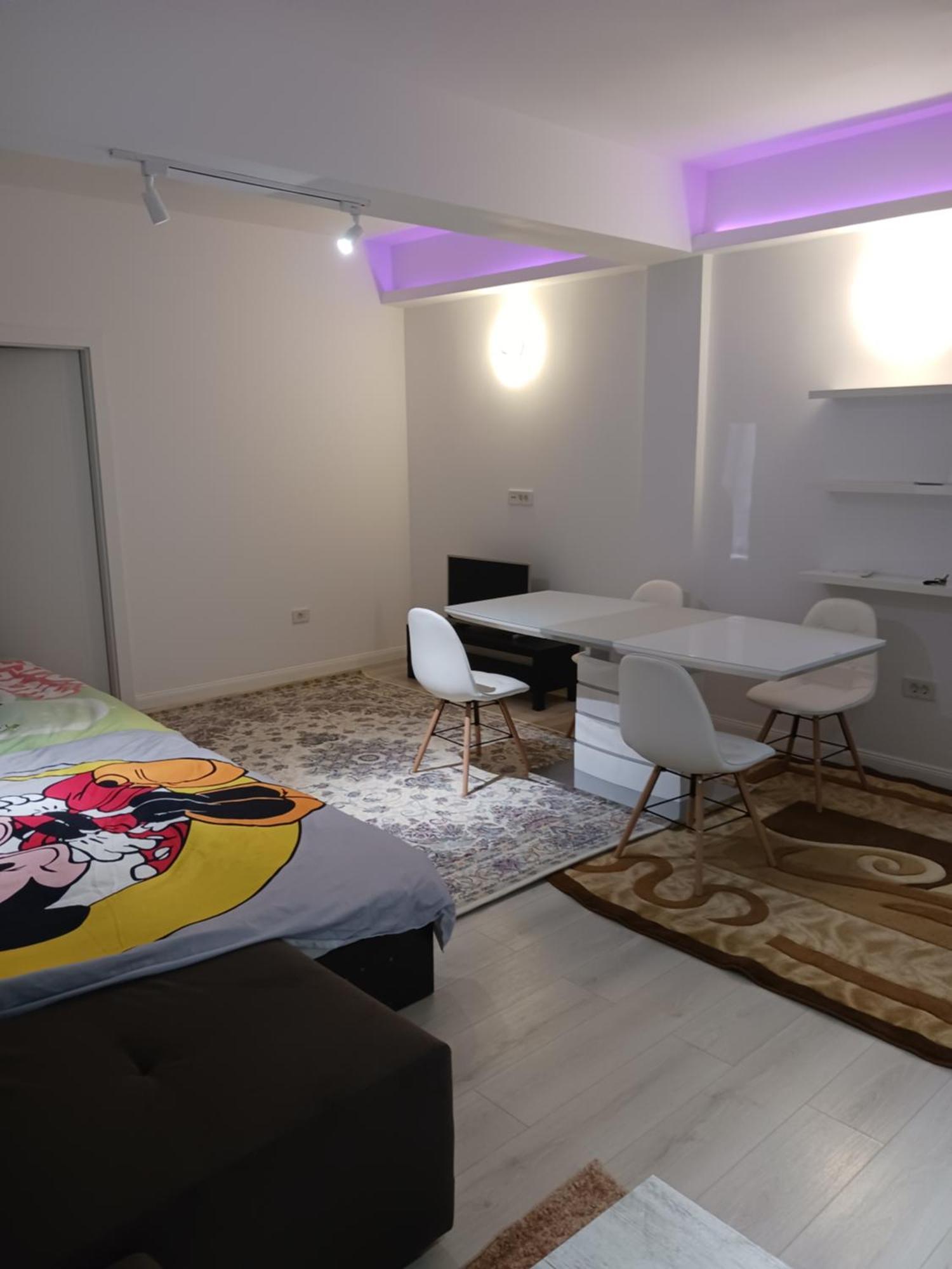 Myky Mouse Nu Primesc Santieristi Si Petrecareti Apartment Bucureşti Ngoại thất bức ảnh