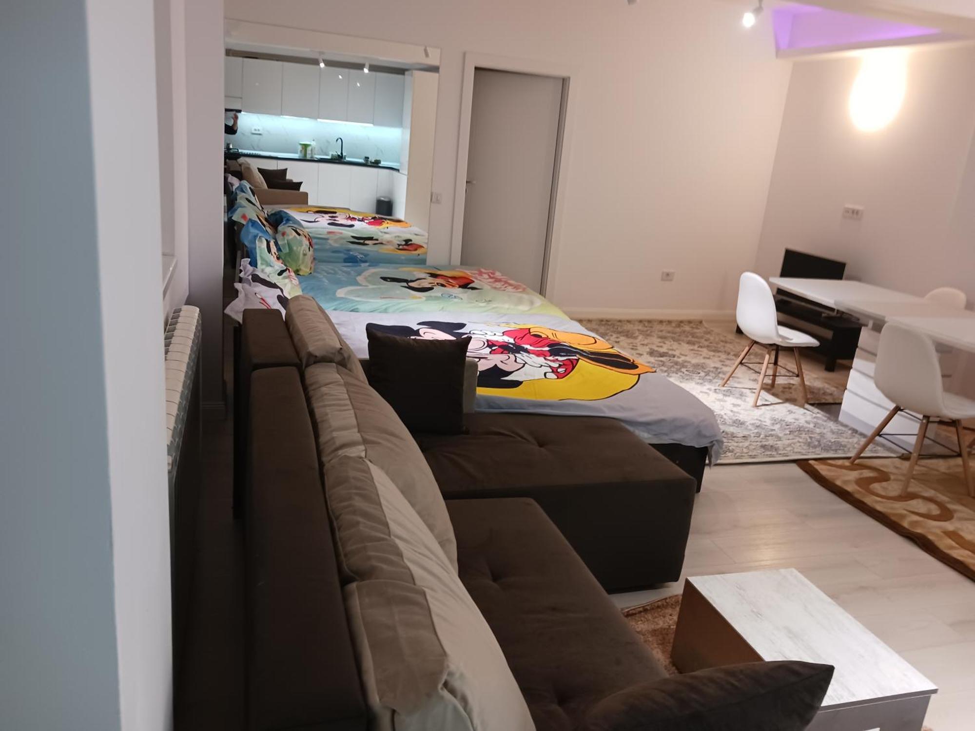 Myky Mouse Nu Primesc Santieristi Si Petrecareti Apartment Bucureşti Ngoại thất bức ảnh