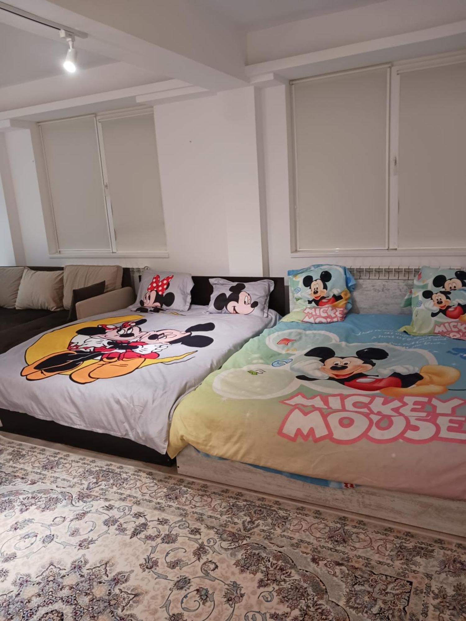 Myky Mouse Nu Primesc Santieristi Si Petrecareti Apartment Bucureşti Ngoại thất bức ảnh