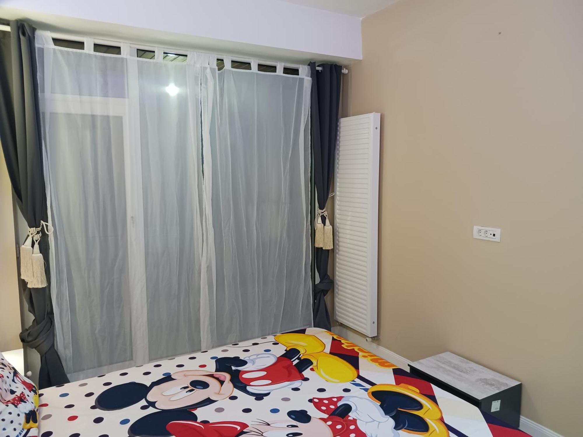 Myky Mouse Nu Primesc Santieristi Si Petrecareti Apartment Bucureşti Ngoại thất bức ảnh