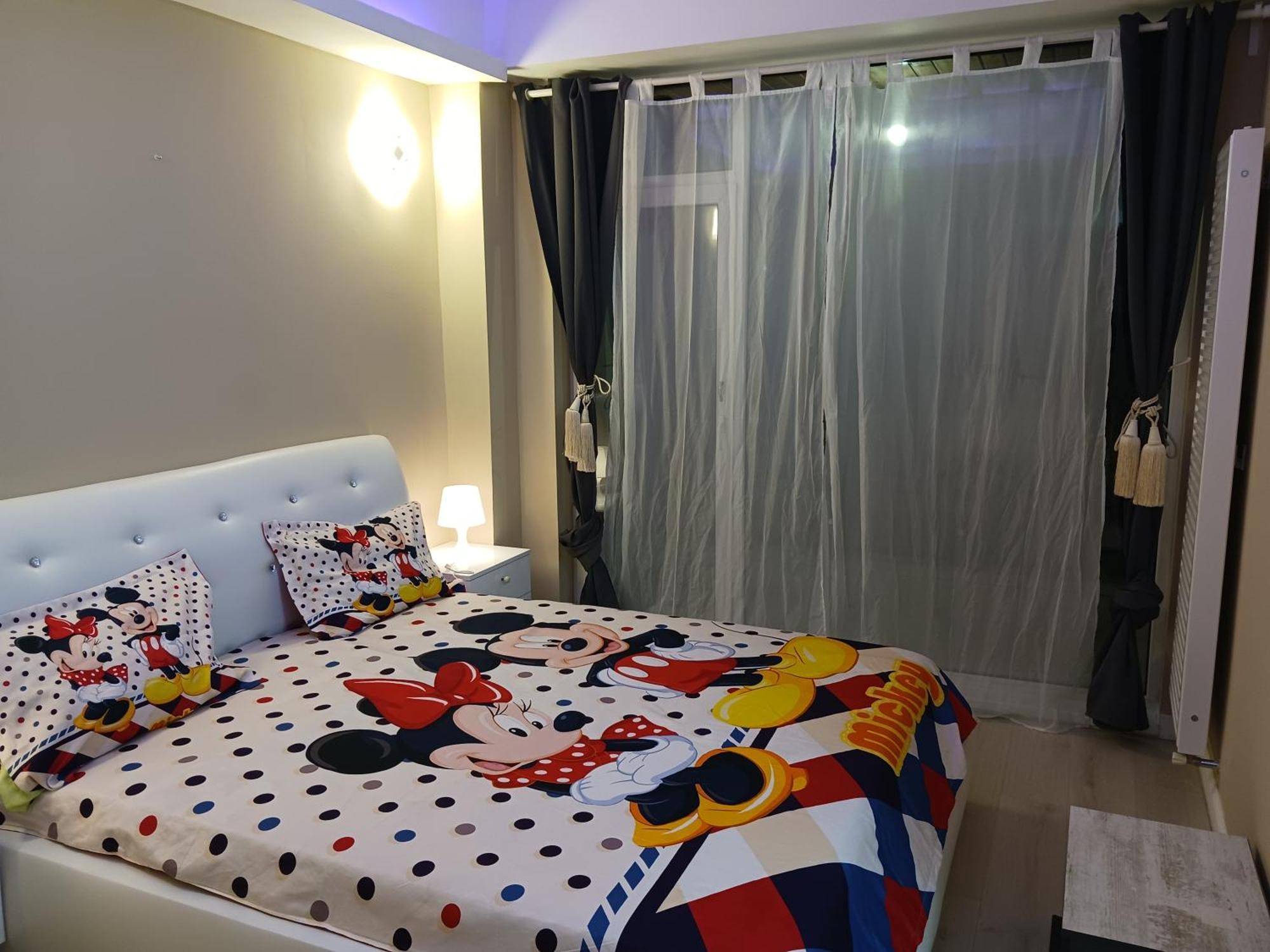Myky Mouse Nu Primesc Santieristi Si Petrecareti Apartment Bucureşti Ngoại thất bức ảnh