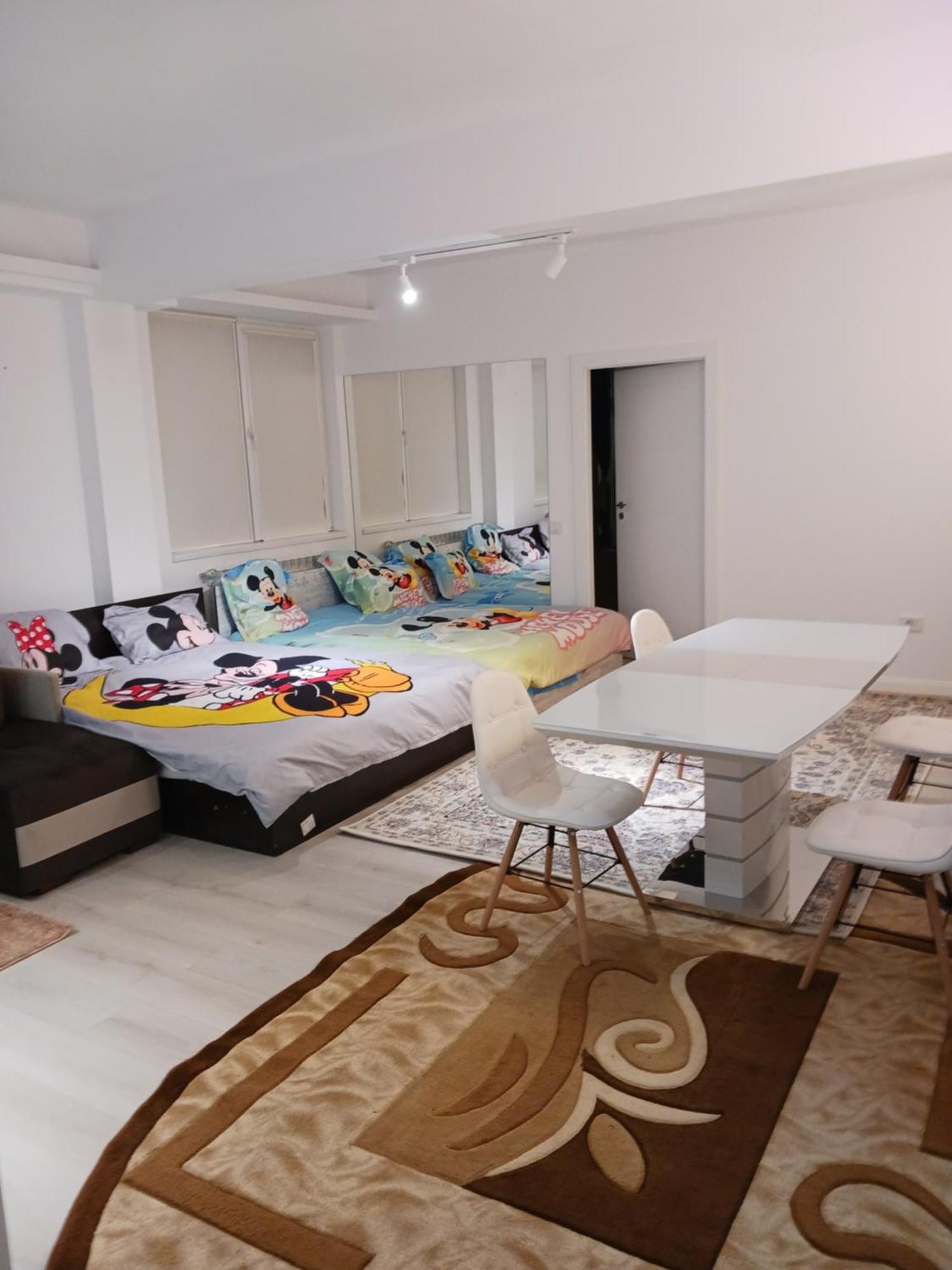 Myky Mouse Nu Primesc Santieristi Si Petrecareti Apartment Bucureşti Ngoại thất bức ảnh