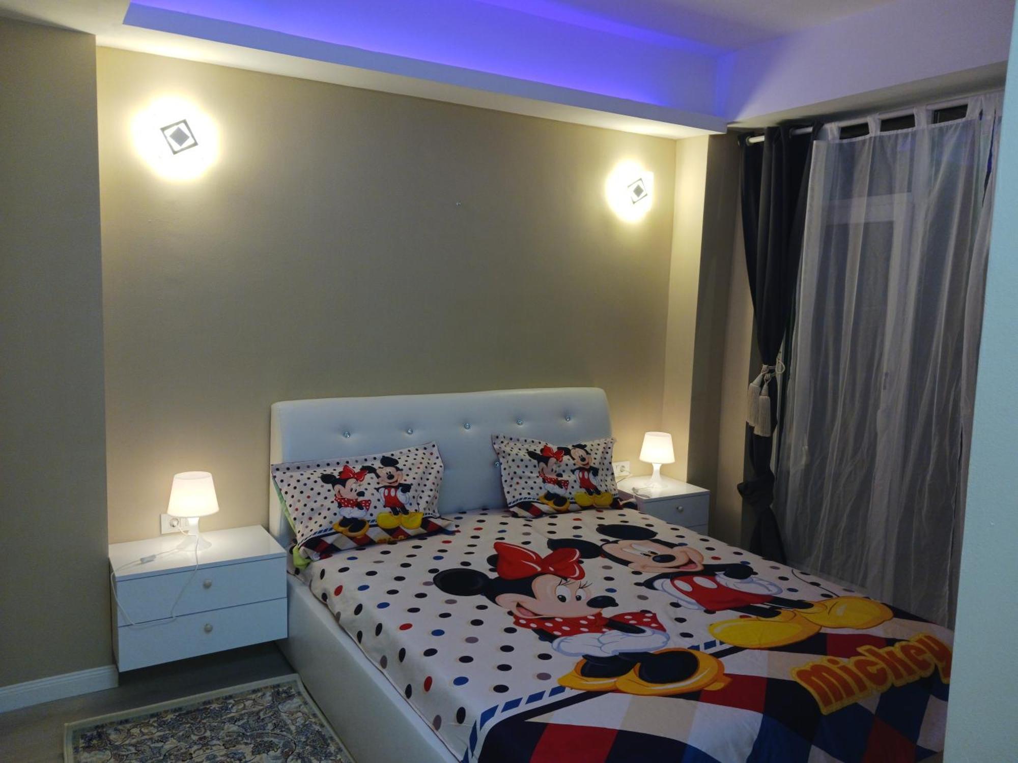 Myky Mouse Nu Primesc Santieristi Si Petrecareti Apartment Bucureşti Ngoại thất bức ảnh