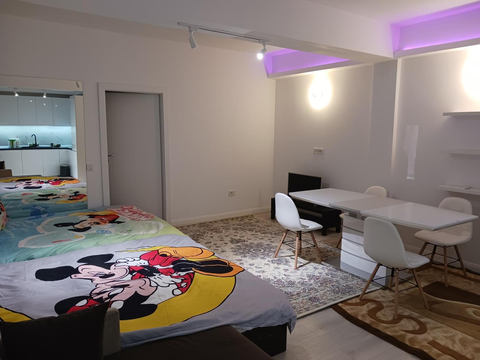 Myky Mouse Nu Primesc Santieristi Si Petrecareti Apartment Bucureşti Ngoại thất bức ảnh