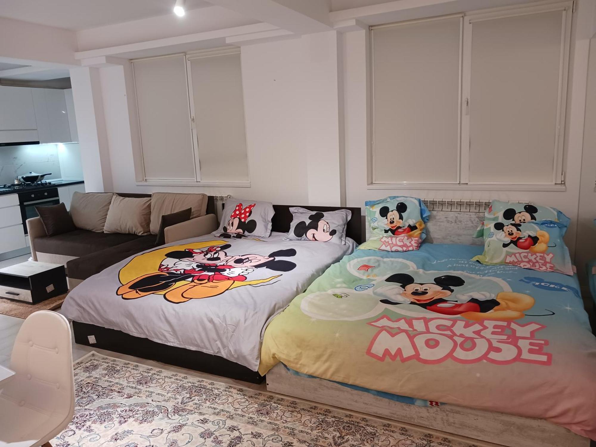Myky Mouse Nu Primesc Santieristi Si Petrecareti Apartment Bucureşti Ngoại thất bức ảnh