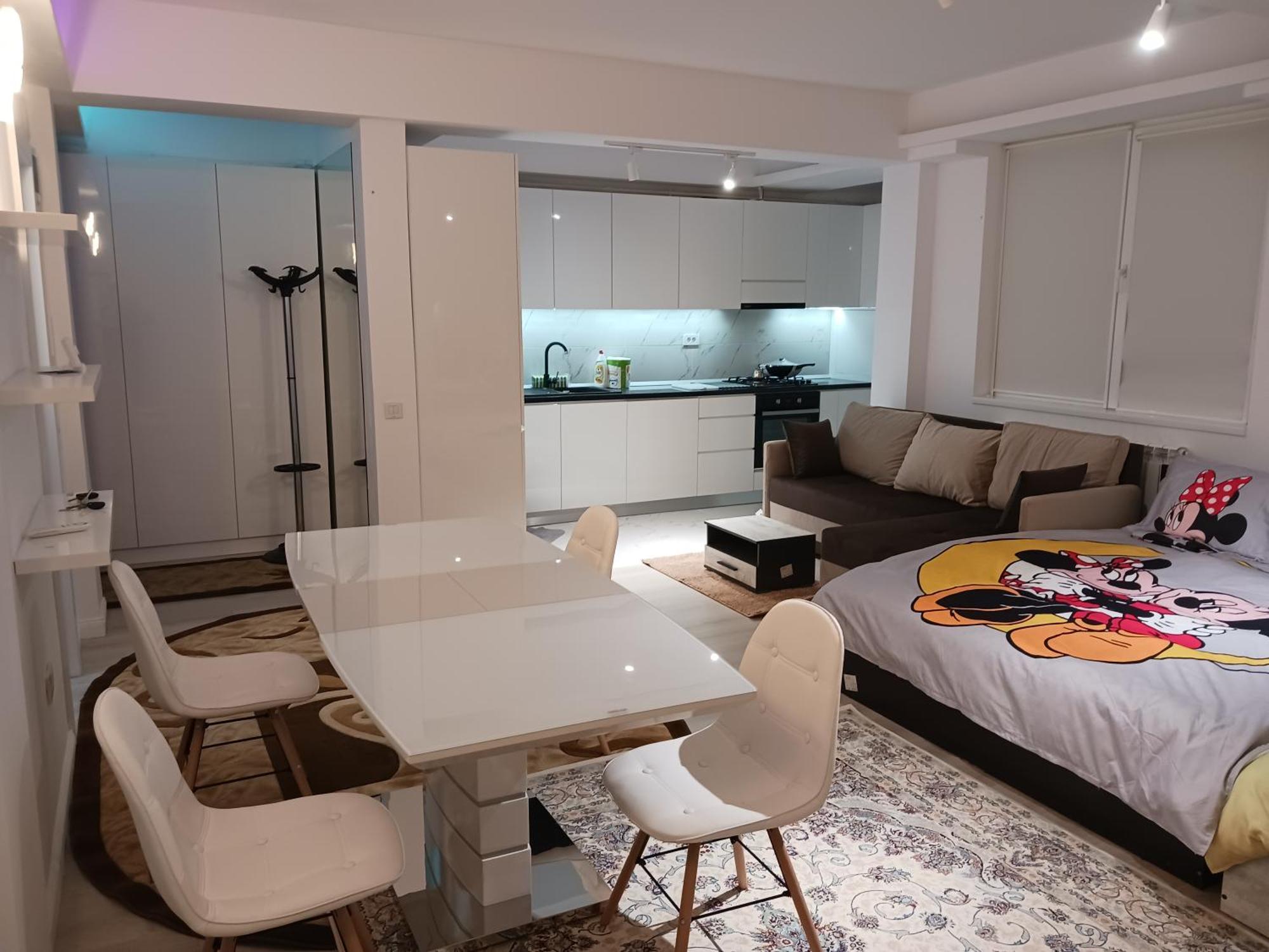 Myky Mouse Nu Primesc Santieristi Si Petrecareti Apartment Bucureşti Ngoại thất bức ảnh
